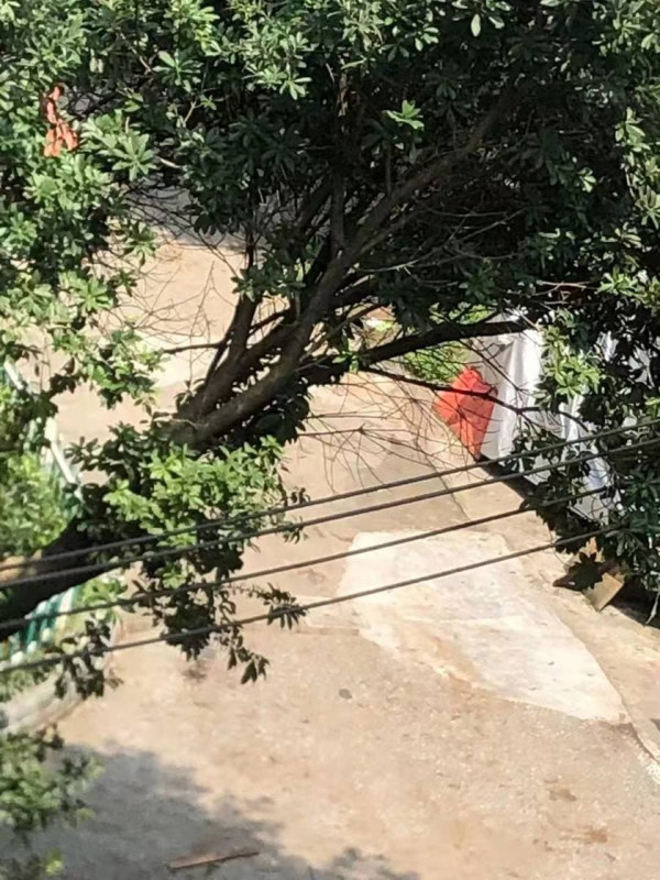 徐汇体验温柔妹妹